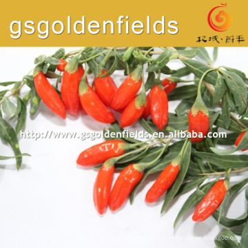 New crop 180/280/380 grains per 50 gram gojiberry in high quality